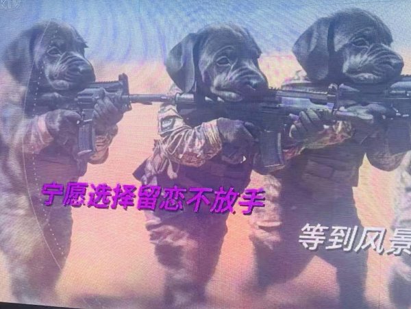 亨利投资 当AI入侵KTV：一些奇怪的事情发生了